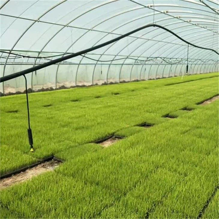 Drip-irrigation-capillary-pipe