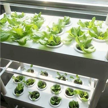 4-etažni hidroponski vrtni komplet s LED svjetlima